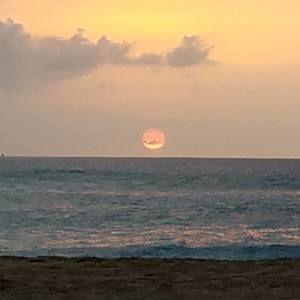 Meet your Posher, Dawn